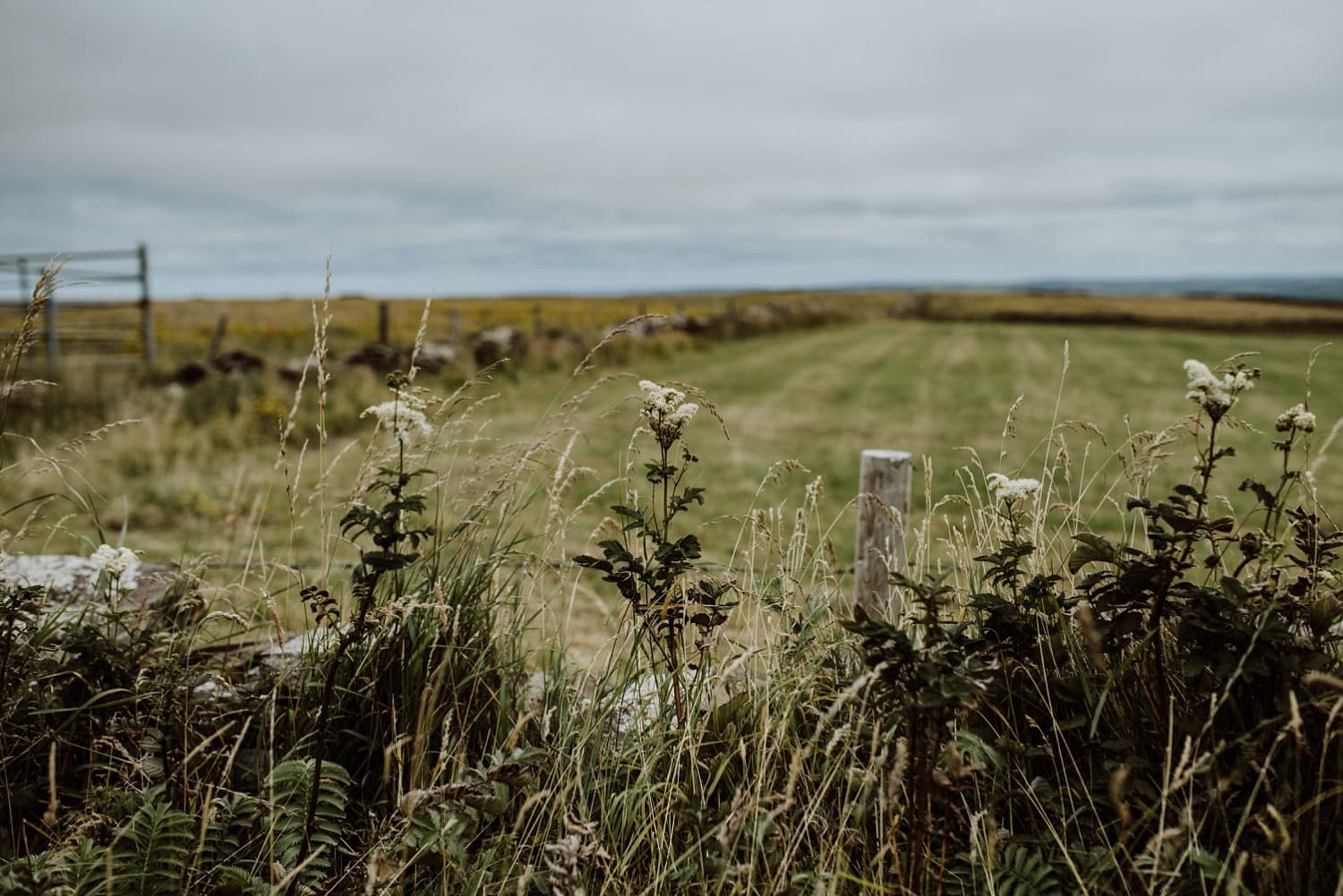 Teresa & Joe - Ireland Engagement Session | www.meredithlord.com