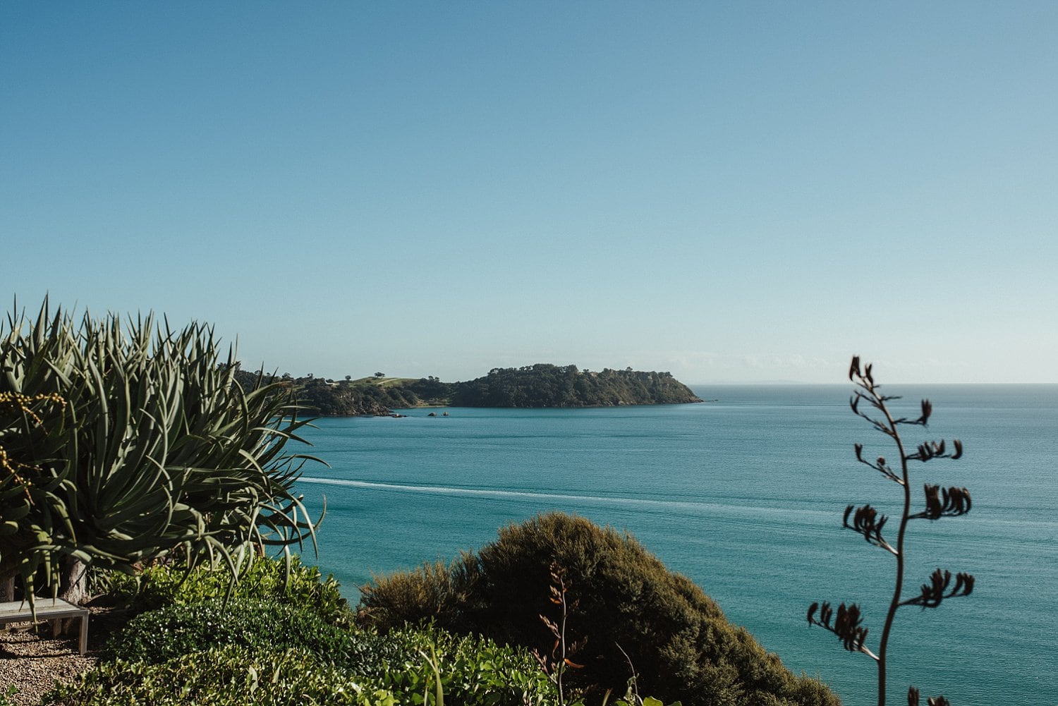 Rebecca & Jamie - Waiheke Island Wedding | www.meredithlord.com