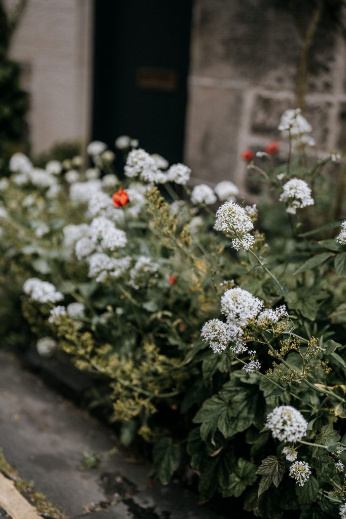 Destination Edinburgh Anniversary Session, photographed by New Zealand and Europe based wedding photographer Meredith Lord
