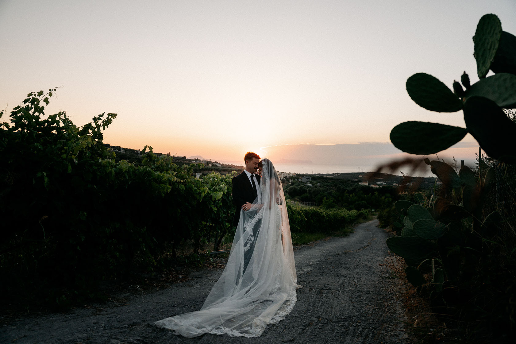 Crete sunset at Agreco Farm for Renee and Daniel's wedding - Meredith Lord Photography Crete sunset at Agreco Farm for Renee and Daniel's wedding